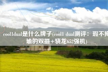 cool1dual是什么牌子(cool1 dual测评：瑕不掩瑜的双摄+骁龙652强机)