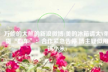 万能的大熊的新浪微博(美的冰箱请大V带货“翻车”：合作紧急告停 博主疑似甩锅小米)