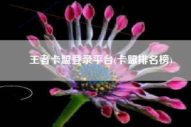 王者卡盟登录平台(卡盟排名榜)