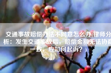 交通事故赔偿办法不同意怎么办(律师分析：发生交通事故后，赔偿金额无法协商一致，应如何起诉？)
