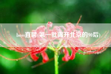boss直聘(第一批离开北京的90后)
