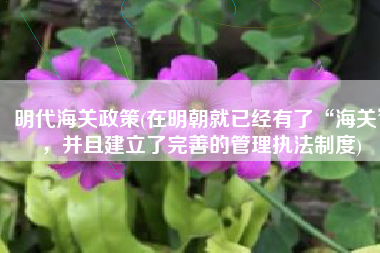 明代海关政策(在明朝就已经有了“海关”，并且建立了完善的管理执法制度)