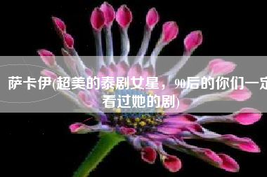 萨卡伊(超美的泰剧女星，90后的你们一定看过她的剧)