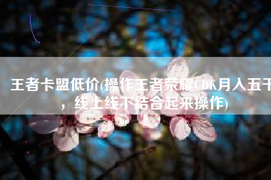 王者卡盟低价(操作王者荣耀CDK月入五千，线上线下结合起来操作)