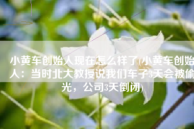 小黄车创始人现在怎么样了(小黄车创始人：当时北大教授说我们车子3天会被偷光，公司3天倒闭)