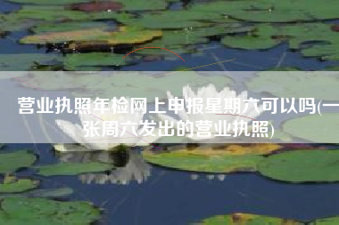 营业执照年检网上申报星期六可以吗(一张周六发出的营业执照)