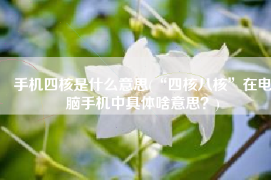 手机四核是什么意思(“四核八核”在电脑手机中具体啥意思？)