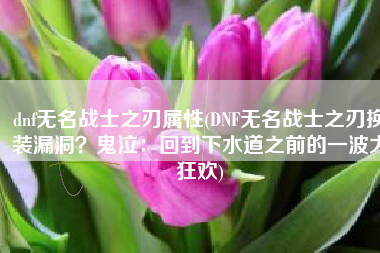 dnf无名战士之刃属性(DNF无名战士之刃换装漏洞？鬼泣：回到下水道之前的一波大狂欢)