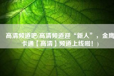 高清频道吧(高清频道迎“新人”，金鹰卡通【高清】频道上线啦！)