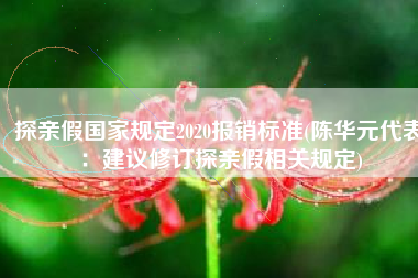 探亲假国家规定2020报销标准(陈华元代表：建议修订探亲假相关规定)