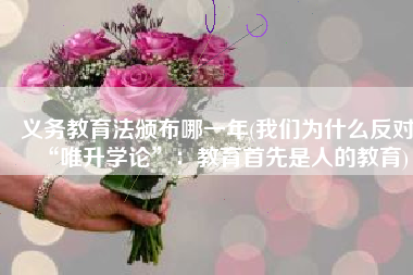 义务教育法颁布哪一年(我们为什么反对“唯升学论”：教育首先是人的教育)