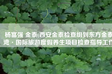 杨富强 金泰(西安金泰检查组到东方金泰湾·国际旅游度假养生项目检查指导工作)
