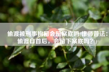偷渡被刑事拘留会留案底吗(律师普法：偷渡自首后，会留下案底吗？)