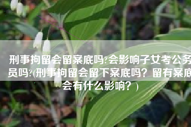 刑事拘留会留案底吗?会影响子女考公务员吗?(刑事拘留会留下案底吗？留有案底会有什么影响？)