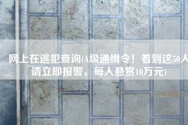 网上在逃犯查询(A级通缉令！看到这50人请立即报警，每人悬赏10万元)