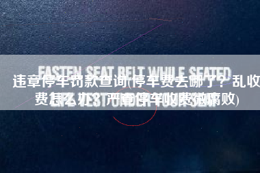 违章停车罚款查询(停车费去哪了？乱收费怎么办？严查停车收费微腐败)