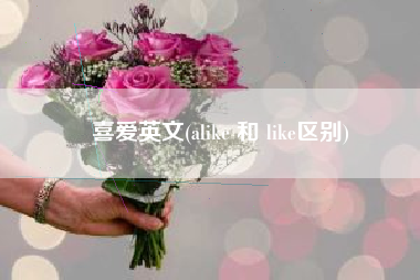 喜爱英文(alike 和 like区别)