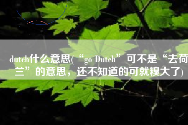 dutch什么意思(“go Dutch”可不是“去荷兰”的意思，还不知道的可就糗大了)
