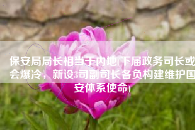 保安局局长相当于内地(下届政务司长或会爆冷，新设3司副司长各负构建维护国安体系使命)