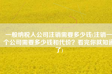 一般纳税人公司注销需要多少钱(注销一个公司需要多少钱和代价？看完你就知道了)