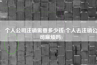 个人公司注销需要多少钱(个人去注销公司麻烦吗)