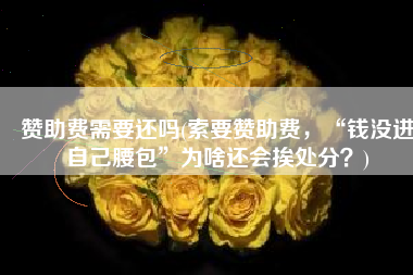 赞助费需要还吗(索要赞助费，“钱没进自己腰包”为啥还会挨处分？)