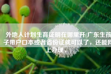 外地人计划生育证明在哪里开(广东生孩子带户口本或者省份证就可以了，还能网上办理，)