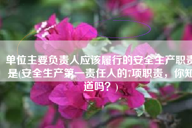 单位主要负责人应该履行的安全生产职责是(安全生产第一责任人的7项职责，你知道吗？)