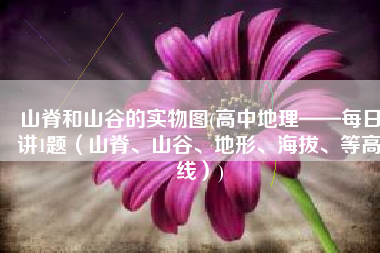 山脊和山谷的实物图(高中地理——每日讲1题（山脊、山谷、地形、海拔、等高线）)