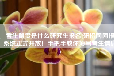 考生籍贯是什么研究生报名(研招网网报系统正式开放！手把手教你填写考生信息)