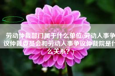 劳动仲裁部门属于什么单位(劳动人事争议仲裁委员会和劳动人事争议仲裁院是什么关系？)