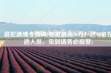 逃犯通缉令查询(悬赏最高50万！这49名在逃人员，见到请务必报警)