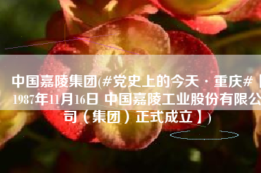 中国嘉陵集团(#党史上的今天·重庆#【1987年11月16日 中国嘉陵工业股份有限公司（集团）正式成立】)