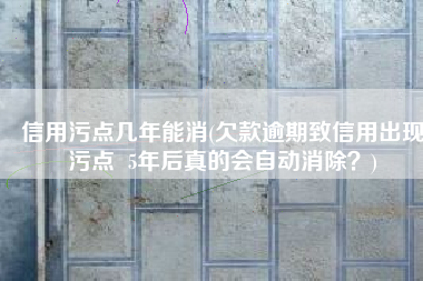 信用污点几年能消(欠款逾期致信用出现污点  5年后真的会自动消除？)