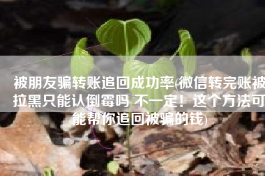 被朋友骗转账追回成功率(微信转完账被拉黑只能认倒霉吗 不一定！这个方法可能帮你追回被骗的钱)