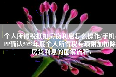 个人所得税抵扣房贷利息怎么操作(手机APP确认2022年度个人所得税专项附加扣除-房贷利息的图解流程)