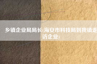 乡镇企业局局长(海安市科技局到我镇走访企业)