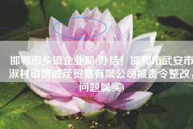 邯郸市乡镇企业局(办结！邯郸市武安市淑村镇德诚茂贸易有限公司被责令整改，问题属实)