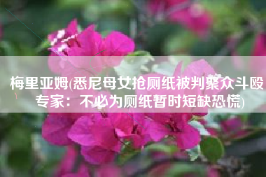 梅里亚姆(悉尼母女抢厕纸被判聚众斗殴，专家：不必为厕纸暂时短缺恐慌)