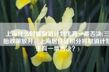 上海什么时候取消计划生育一票否决(三胎政策放开，上海居住证积分将取消计划生育一票否决？)