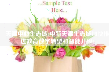 天津中心生态城(中新天津生态城加快推进教育数字转型和智能升级)