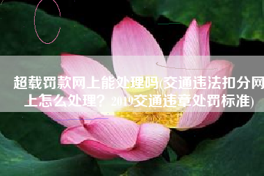 超载罚款网上能处理吗(交通违法扣分网上怎么处理？2019交通违章处罚标准)