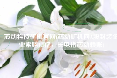 芯动科技矿机官网(芯动矿机向A股封装企业索赔1.7亿，长电指芯动赖账)