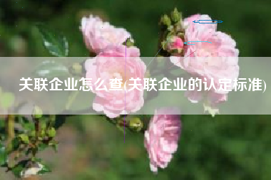 关联企业怎么查(关联企业的认定标准)