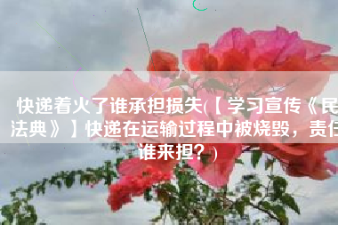 快递着火了谁承担损失(【学习宣传《民法典》】快递在运输过程中被烧毁，责任谁来担？)