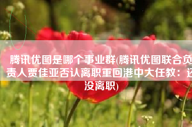 腾讯优图是哪个事业群(腾讯优图联合负责人贾佳亚否认离职重回港中大任教：还没离职)