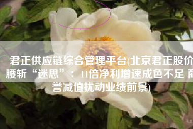 君正供应链综合管理平台(北京君正股价腰斩“迷思”：11倍净利增速成色不足 商誉减值扰动业绩前景)