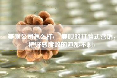 美呗公司怎么样(​美呗的打脸式营销，把好感度败的渣都不剩)