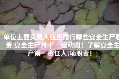 单位主要负责人应当履行哪些安全生产职责(安全生产月 | 一组动图！了解安全生产第一责任人7项职责！)