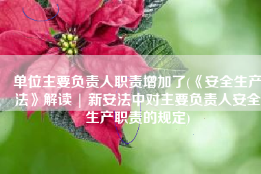 单位主要负责人职责增加了(《安全生产法》解读 | 新安法中对主要负责人安全生产职责的规定)